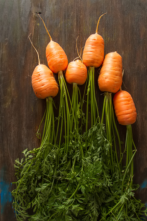 Young carrots. Fresh vegetarian products. Delicious food for children. Dark backgroundの写真素材