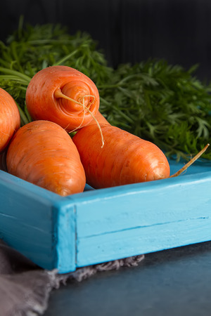 Young carrots. Fresh vegetarian products. Delicious food for children. Dark backgroundの写真素材