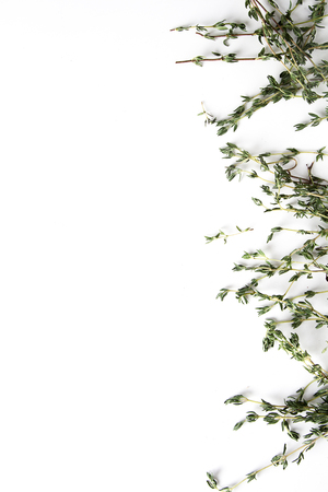 Grass thyme. Italian spices on a white background. Food conceptの写真素材