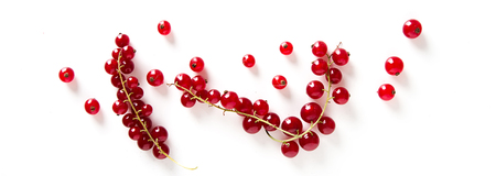 red currant on white background. Food conceptの写真素材