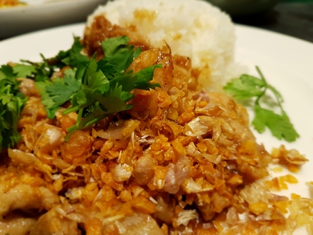 Fried pork with garlic pepper on riceの写真素材