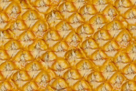 ananas texture background wallpaperの写真素材