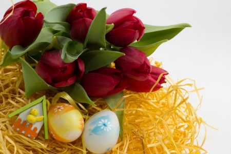 colorful  Easter eggs in nest wit red tulipの写真素材