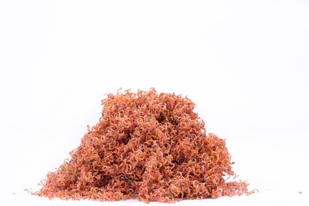 Shavings in various colors の写真素材