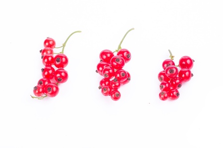 Currant  isolated on white