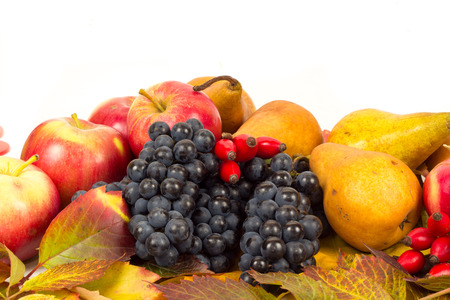 Colorful autumn fruits and leaf isolated on whiteの写真素材