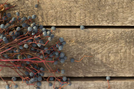 Christmas Decorationの写真素材