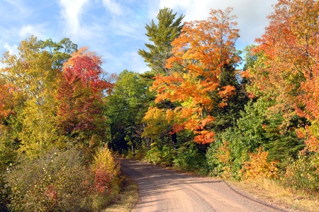 Quiet backroad in upper penninsula, michigan is lined and surrounded by beautiful autumn foliage in orange, yellow and red during October each year.の写真素材
