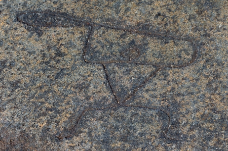 Ancient Hawaiiian warrior fighs with spear in hand   Petroglphys can be found の写真素材