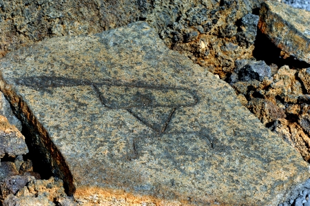 Ancient Hawaiian ancesters left their mark on stone   These  petroglphys, or primative drawing was discovered on the Malama Trail on the Big Island of Hawaii の写真素材