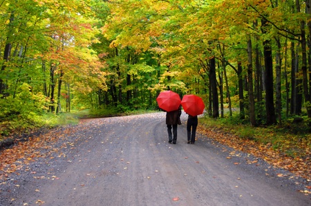 Retired couple stroll beneath a tunnel of yellow and gold leaves.  They have further protection from red umbrellas as they make the curve on a secluded dirt road.の写真素材