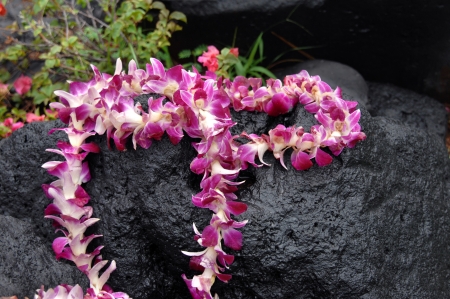 Tourist leaves token offering of orchid lei on black lava stone.  Stone is wet and water drops cling to lei.の写真素材