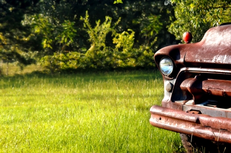Abandoned and junked Chevy truck sits in a meadow of green grass.の写真素材