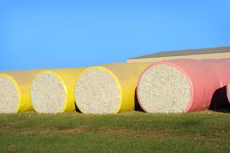Colorful cotton bales lay in round bales ready for shipment.  Raw cotton is freshly harvested.の写真素材