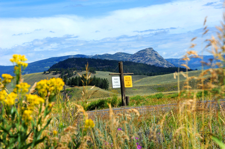 Rustic sign warns visitors, "Caution Wildlife on Roadway."  Highway runs through Lamar Valley with scenic vistas of mountains, hills and wildflowers.の写真素材