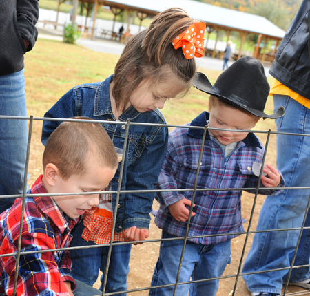Three children feed the animals at a "harvest festival" in Tennessee.  Little boy has on cowboy hat and plaid shirt.の写真素材