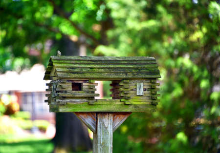 Log cabin bird house sits on a wooden pole.  Green moss and mildew has colored the wood green.  Dog Trot style architecture.の写真素材