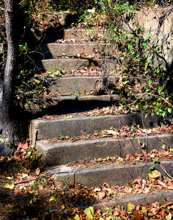 Dark shadowed steps are littered with Fall leaves.  Steps ascend upward and curve.