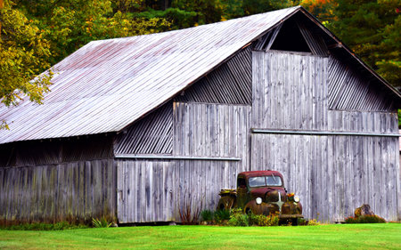 Old Dodge truck sits in front of wooden barn.  Truck is being overgrown by weeds and grass.  Rust covers body.の写真素材