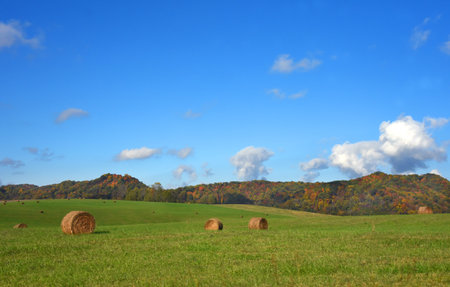 Green field has round hay bales.  Appalachian Mountains fill back of photo, with Fall colors dotting...
