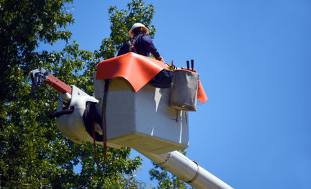 Worker is lifted in bucket to work on telephone lines.  He is wearing hard hat a grey shirt.