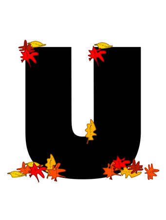 The letter U, in the alphabet set "Autumn Falling" is black.  It is decorated with colorful Autumn leaves in orange, yellow red and burgundy.の写真素材