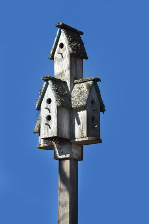 Four wooden bird houses are mounted on a wooden post.  Roofs are covered in lichen.  Structure is faded and weather worn.の写真素材