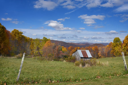 Appalachians are covered with the colors of Autumn.  Rustic, weathered, wooden barn has rusty tin roof and sits in an open field.の写真素材