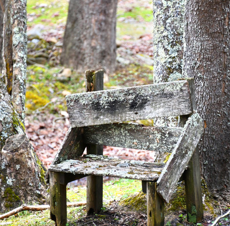Rustic, wooden bench sits outside among the trees.  It is constructed of scrap boards and fence posts.  Wood has lichen and is weathered grey.の写真素材