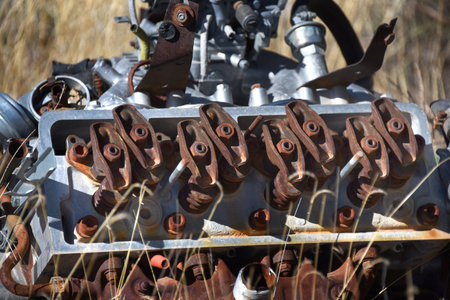 Discarded in the brush, in New Mexico, the inside of an engine sits rusting.