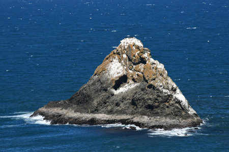 Oregon Offshore Island serves as home for seabirds including the black Cormorants.  This Island can be seen from the Port Orford Heads Trail.の写真素材