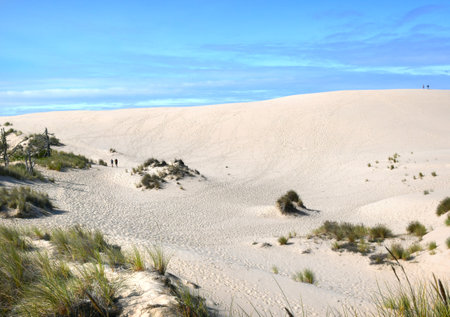 One couple hike along ridge line of sand dune in Oregon Dunes National Recreation Area.  The other couple hike the lower John Dellenbeck Dunes Trail.の写真素材