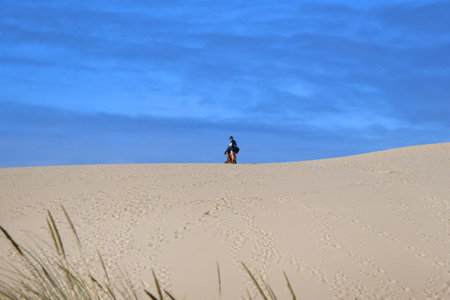 Couple pause on top of sand dune, in Oregon Dunes National Recreation Area, to pick their dog up.  They are outlined against a blue morning sky.の写真素材