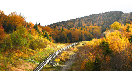 Sunlight peaks through overcast Mount Washington and lights the brilliant yellow and orange foliage besides the Mt. Washington Cog Railroad tracks.の写真素材