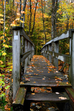 Rain dampened wooden planks form narrow bridge across a creek in New Hampshire.  Autumn leaves cling...
