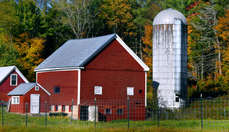 Red, wooden barn is surrounded by multiple smaller buildings painted red.  Silo with tin dome stands besides barn.  Fall foliage is behind.の写真素材