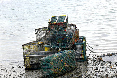 Wet and muddy, a stack of lobster cages are stacked at the shore line in Maine.