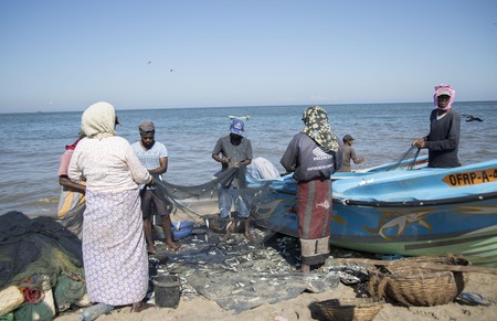 Fisherman in Sri Lankaのeditorial素材