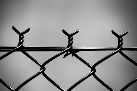 A barded wire fence in black and whiteの写真素材