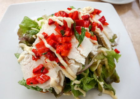Poached chicken breast salad with mayonnaise dressingの写真素材