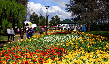 CANBERRA - AUSTRALIA: SEPTEMBER 14,2013: Blossom of tulips at Floriade FestivalCanberra, Australia. Floriade is Australia biggest celebration of spring. This iconic Canberra event.のeditorial素材
