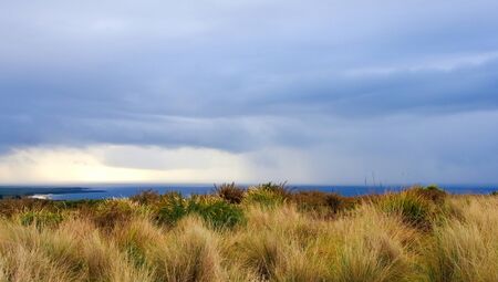 A background of grass against rain clouds over the ocean.の写真素材