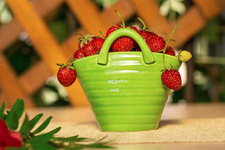 Red strawberries in a green porcelain basket with branch on a table. Background wooden fenceの写真素材