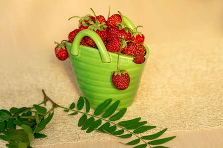 Red strawberries in a green porcelain basket with branchの写真素材