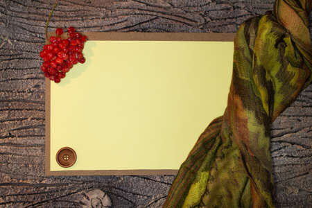 paper blank card for text with red viburnum, wooden button and scarf. Autumn background. Copy spaceの写真素材