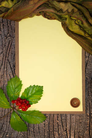 paper blank space for text with red viburnum on green leaf, wooden button and scarf. Autumn background. Copy spaceの写真素材