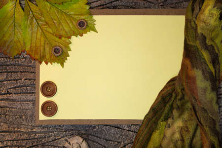 paper blank space for text with leaf, wooden buttons and scarf. Autumn background. Copy spaceの写真素材