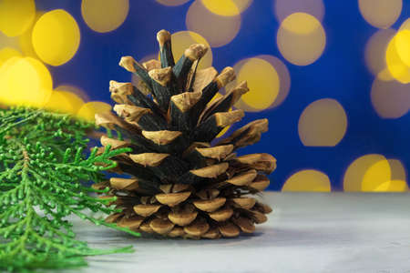 Big cone on the table with thuja branch. Yellow bokeh on blue backgroundの写真素材