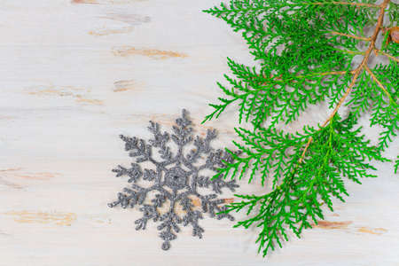 Glowing snowflake with thuja on a white background. Copy spaceの写真素材