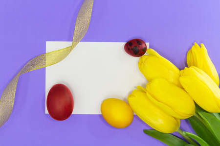 Yellow tulips with empty white sheet for text or mockup and painted yellow and red eggs, gold ribbon. Easter background. Copy spaceの写真素材